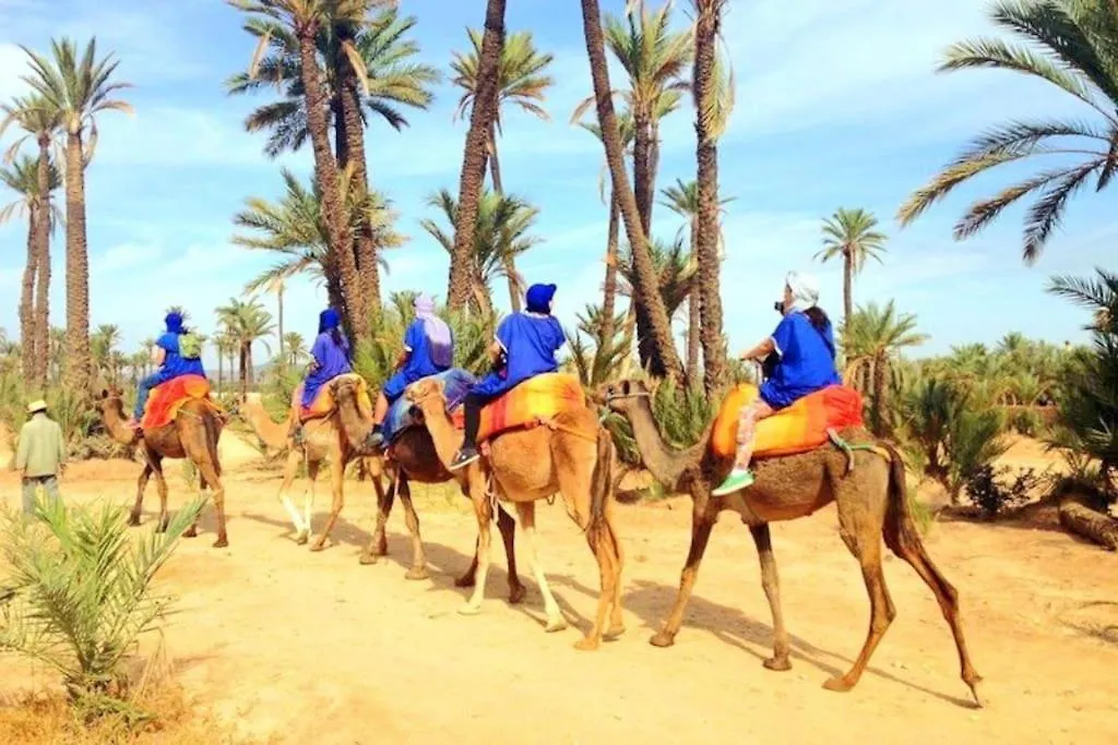 La Perle De Marrakech A 10 Min De La Medina Apartment Marrakesh